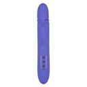 Shameless Seducer Purple